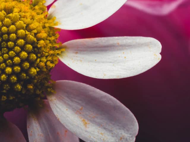 Analyzing Unsplash Photo Performance with Python