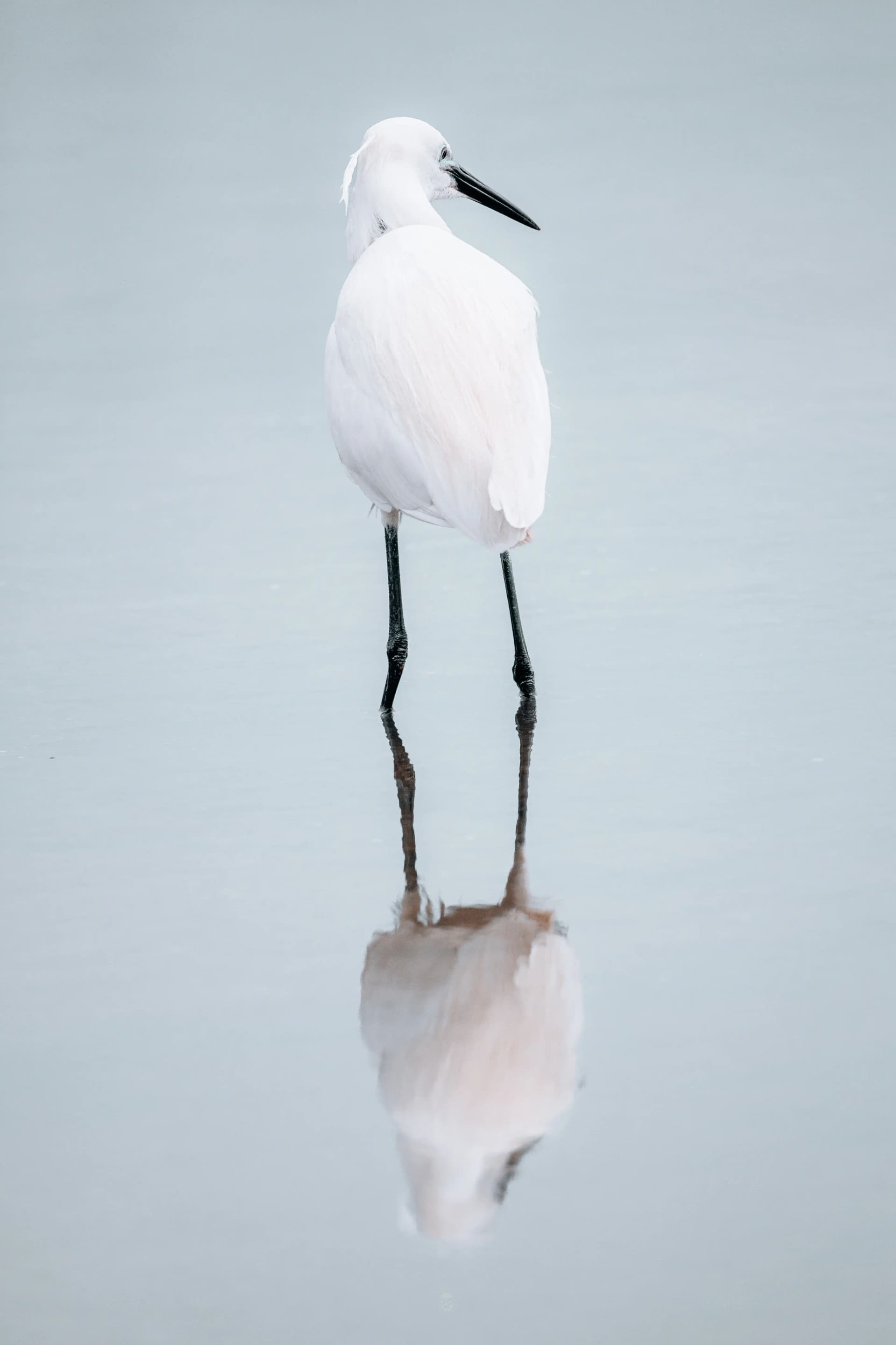 Silent Water Sentinel