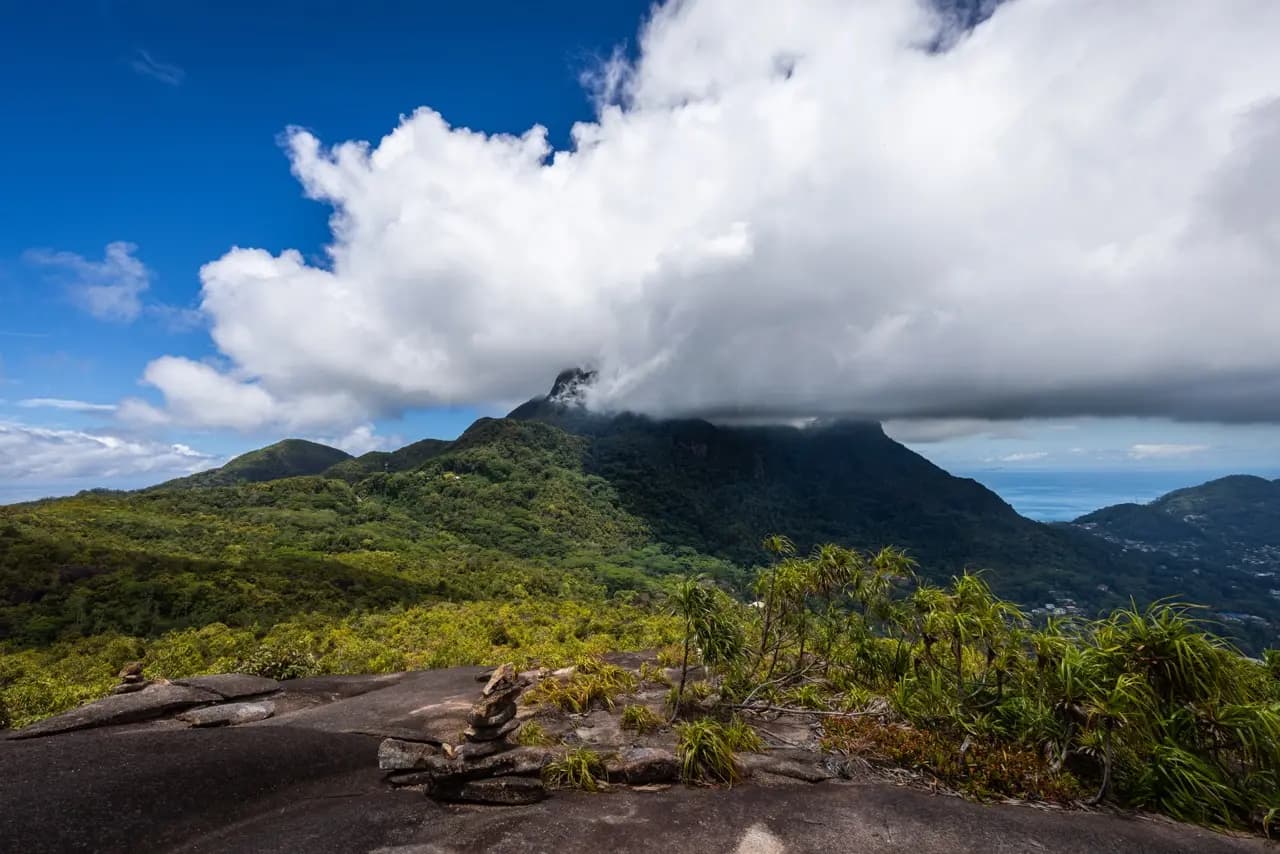 Una Panoramica sui Protocolli di Rete